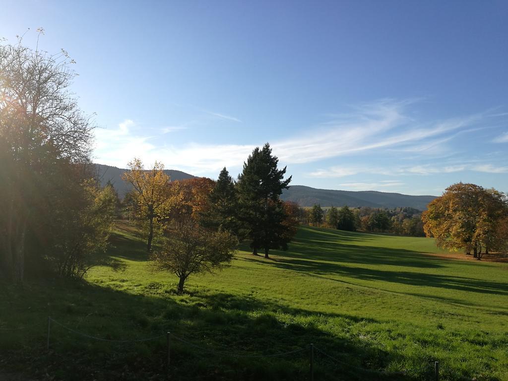 Hotel & Restaurant Bergfried Saalfeld Saale Zewnętrze zdjęcie